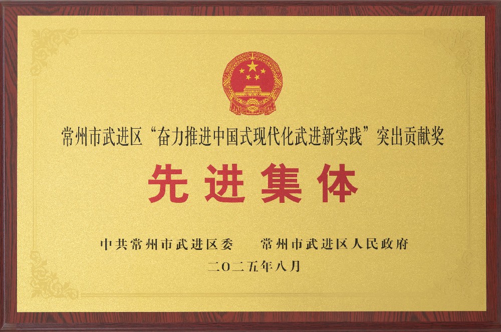 常州市武进区“奋力推进中国式现代化武进新实践”突出贡献奖